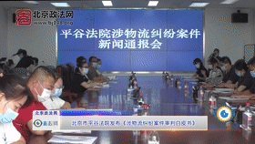 北京市平谷法院发布《涉物流纠纷案件审判白皮书》[00_00_08--00_00_28].gif