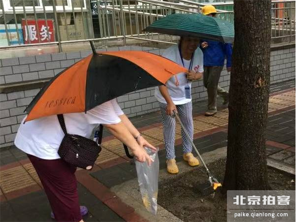 北京奥运十周年绿色啄木鸟志愿者志愿服务不停歇