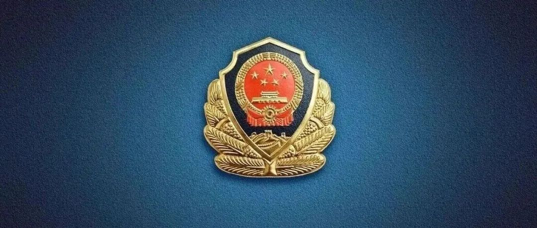 北京海淀警方严厉打击“黄牛”“黑导游”等违法行为